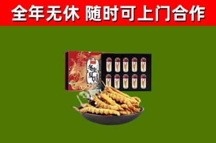 龙马潭回收冬虫夏草价格